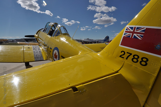 RCAF Harvard 2788